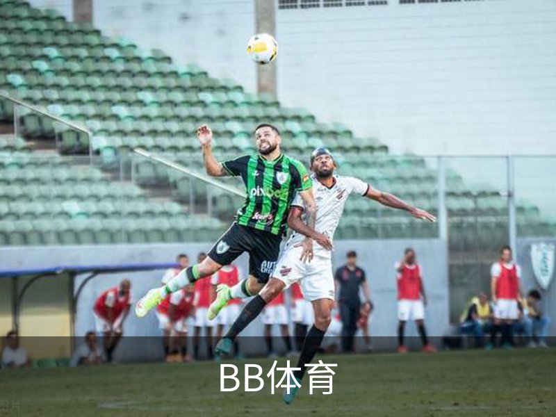 BB体育介绍